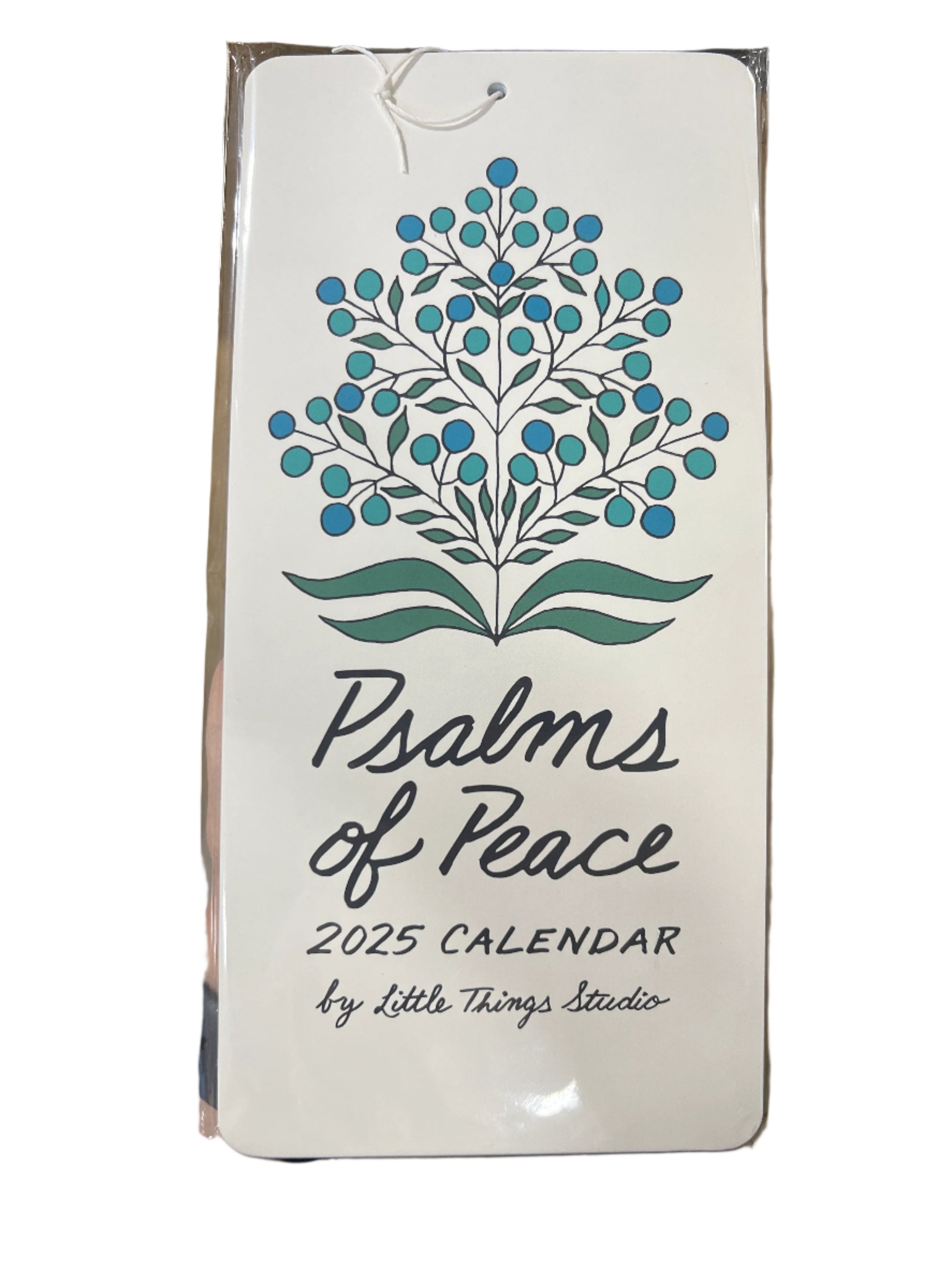 Psalms of Peace 2025 Wall Calendar