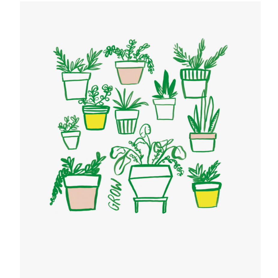 8x10 art print from with house plants.